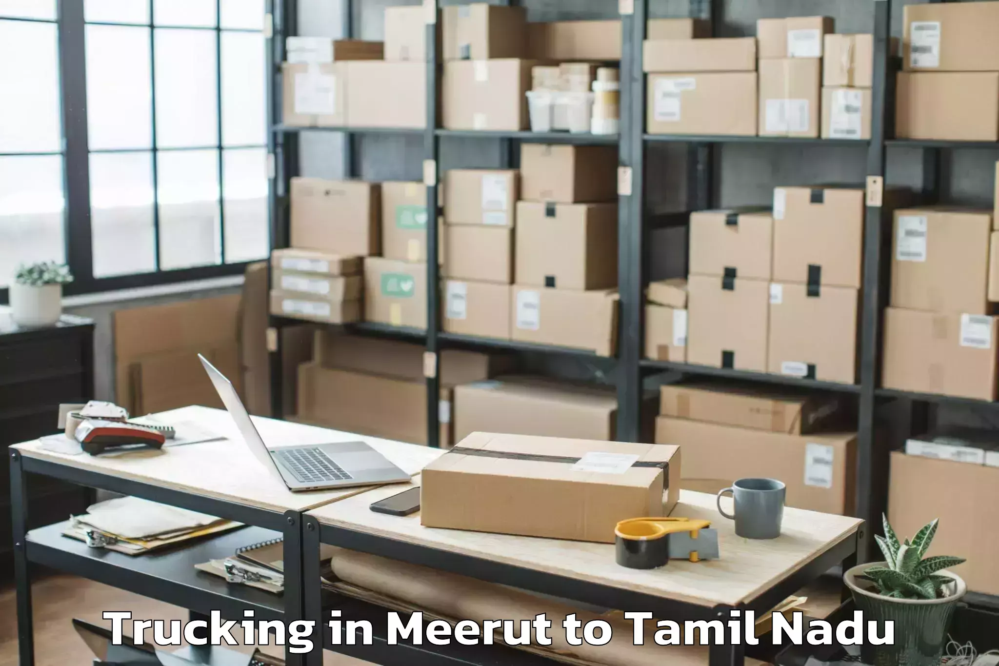 Book Meerut to Wallajah Trucking Online